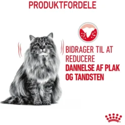 Royal Canin Dental Care 400 gram