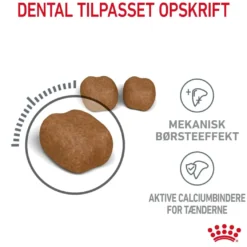 Royal Canin Dental Care 400 gram