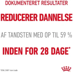 Royal Canin Dental Care 8 kg