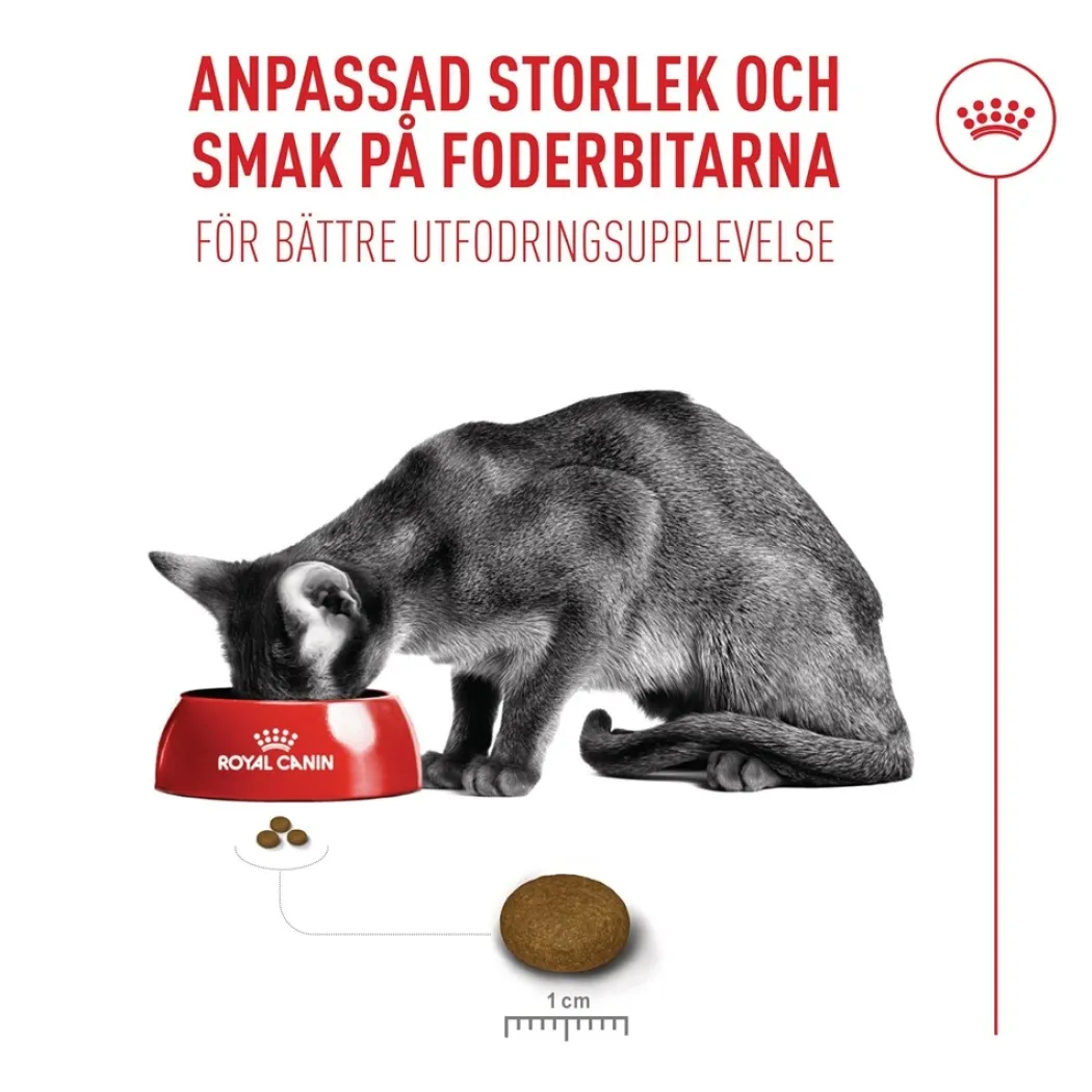 Royal Canin Exigent FHN Fussy 4 kg