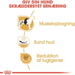 Royal Canin French Bulldog Adult 9 kg - tørfoder til voksne hunde