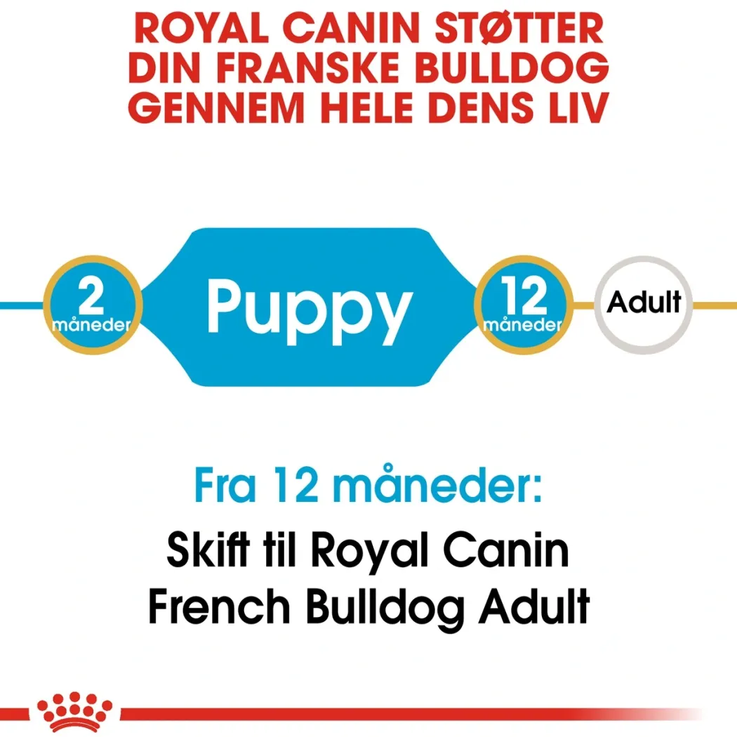 Royal Canin French Bulldog Puppy 3 kg - fuldfoder til hvalpe