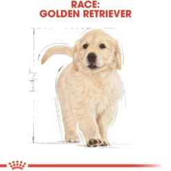 Royal Canin Golden Retriever Puppy 12 kg - tørfoder til hvalpe