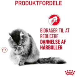 Royal Canin Hairball Care 10 kg