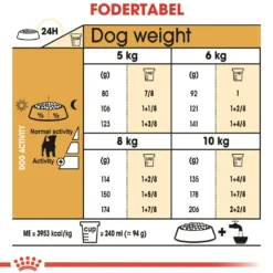 Royal Canin Jack Russell Adult 1,5 kg - tørfoder til voksne hunde