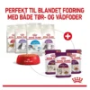 Royal Canin Kattevådmad Sensory Taste Sovs Adult