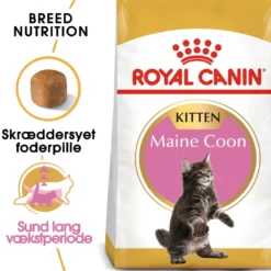 Royal Canin Kitten Maine Coon 10 kg