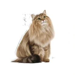 Royal Canin Light Weight Jelly vådfoder 85 g