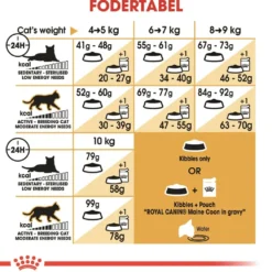 Royal Canin Maine Coon 4 kg