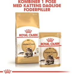 Royal Canin Maine Coon 10 kg
