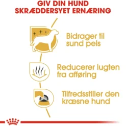 Royal Canin Maltese Adult 1,5 kg - tørfoder til maltesere
