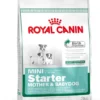 Royal Canin Mini Starter Mother & BabyDog 8 kg - hundefoder til tæver og hvalpe