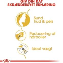 Royal Canin Norsk Skovkat 2 kg