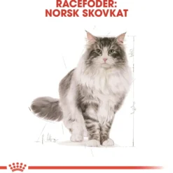 Royal Canin Norsk Skovkat 10 kg (Norwegian Forest Cat)