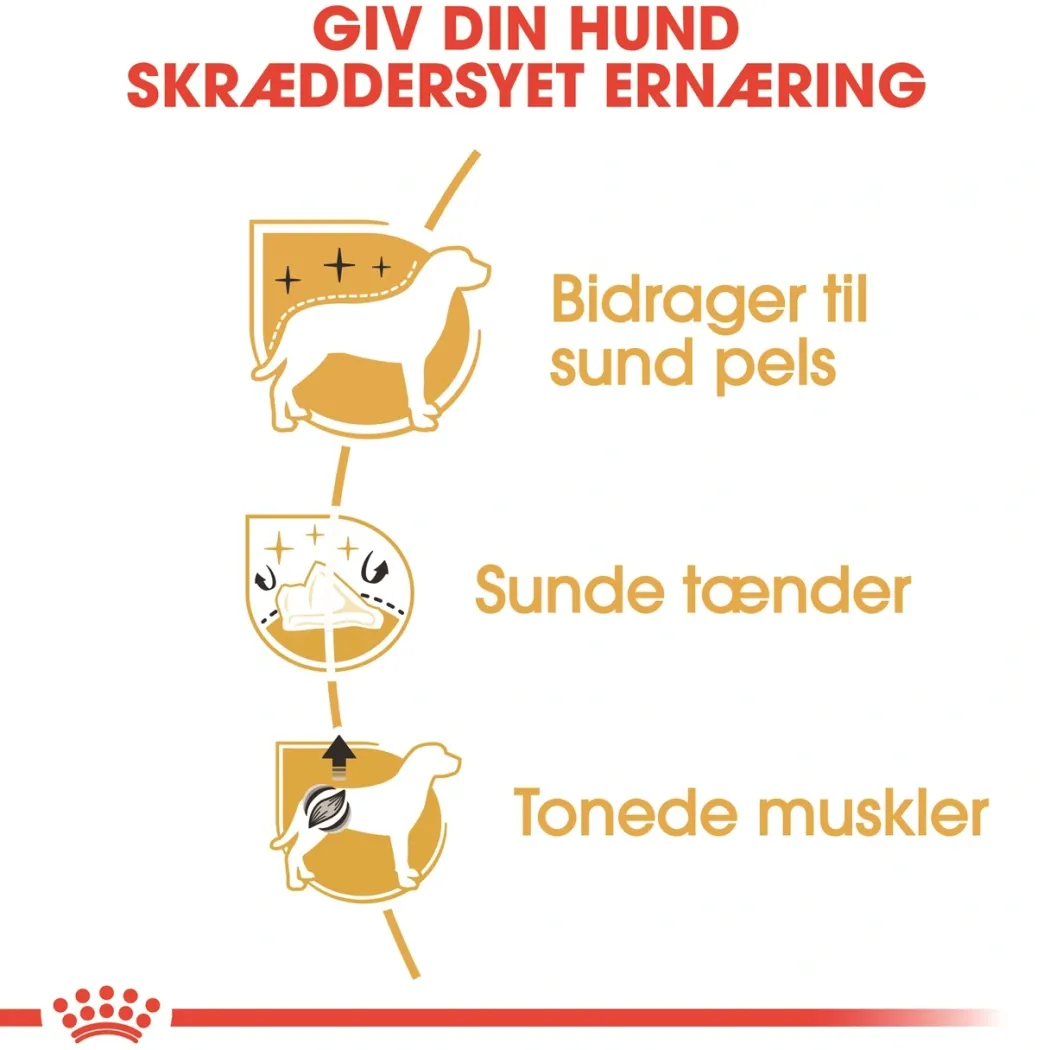 Royal Canin Poodle Adult 1,5 kg - tørfoder til voksne pudler
