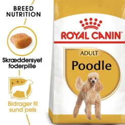 Royal Canin Poodle Adult 1,5 kg - tørfoder til voksne pudler