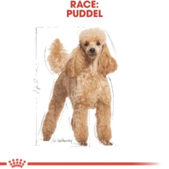 Royal Canin Poodle Adult 1,5 kg - tørfoder til voksne pudler
