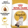 Royal Canin Ragdoll 10 kg