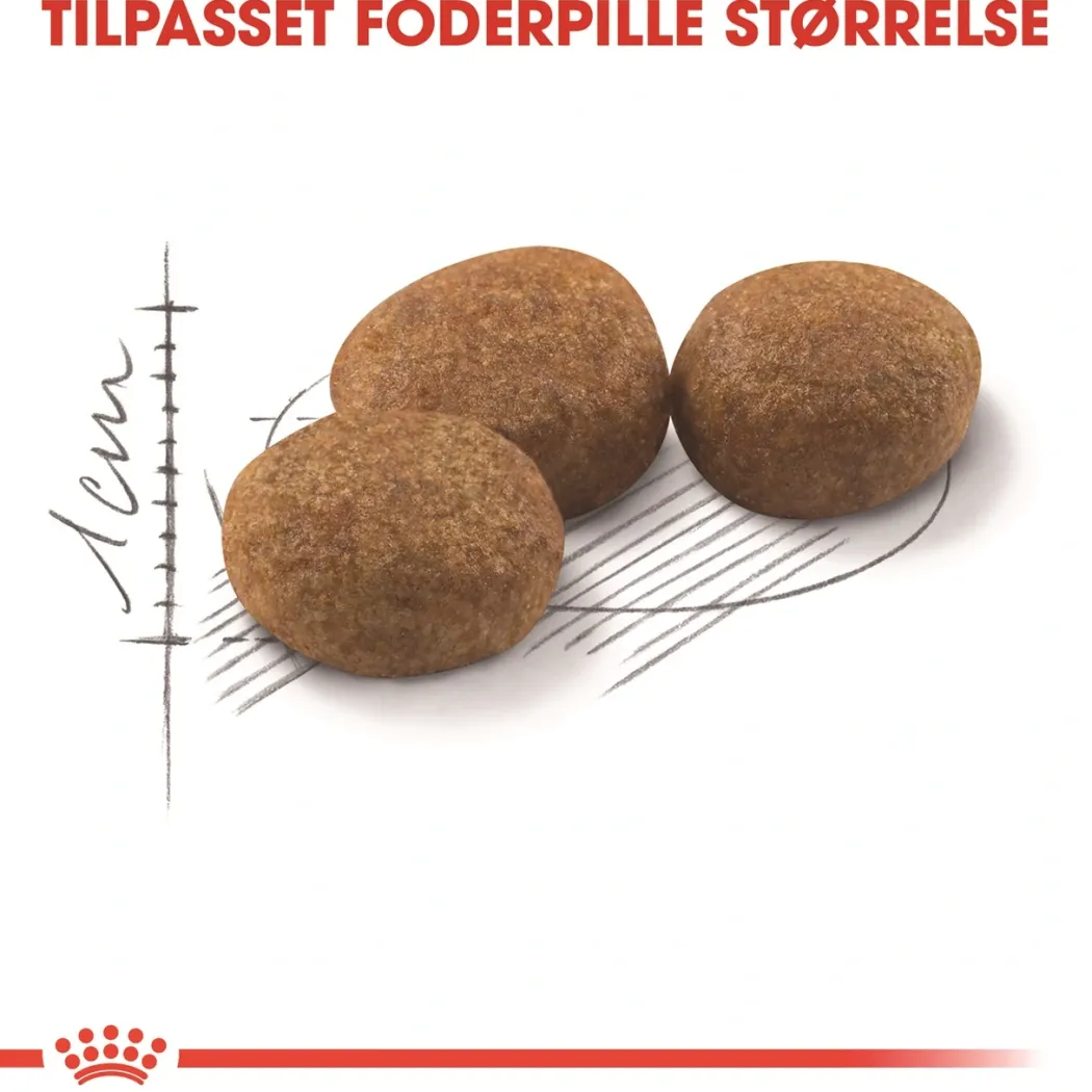 Royal Canin Regular Sterilised 400 gram