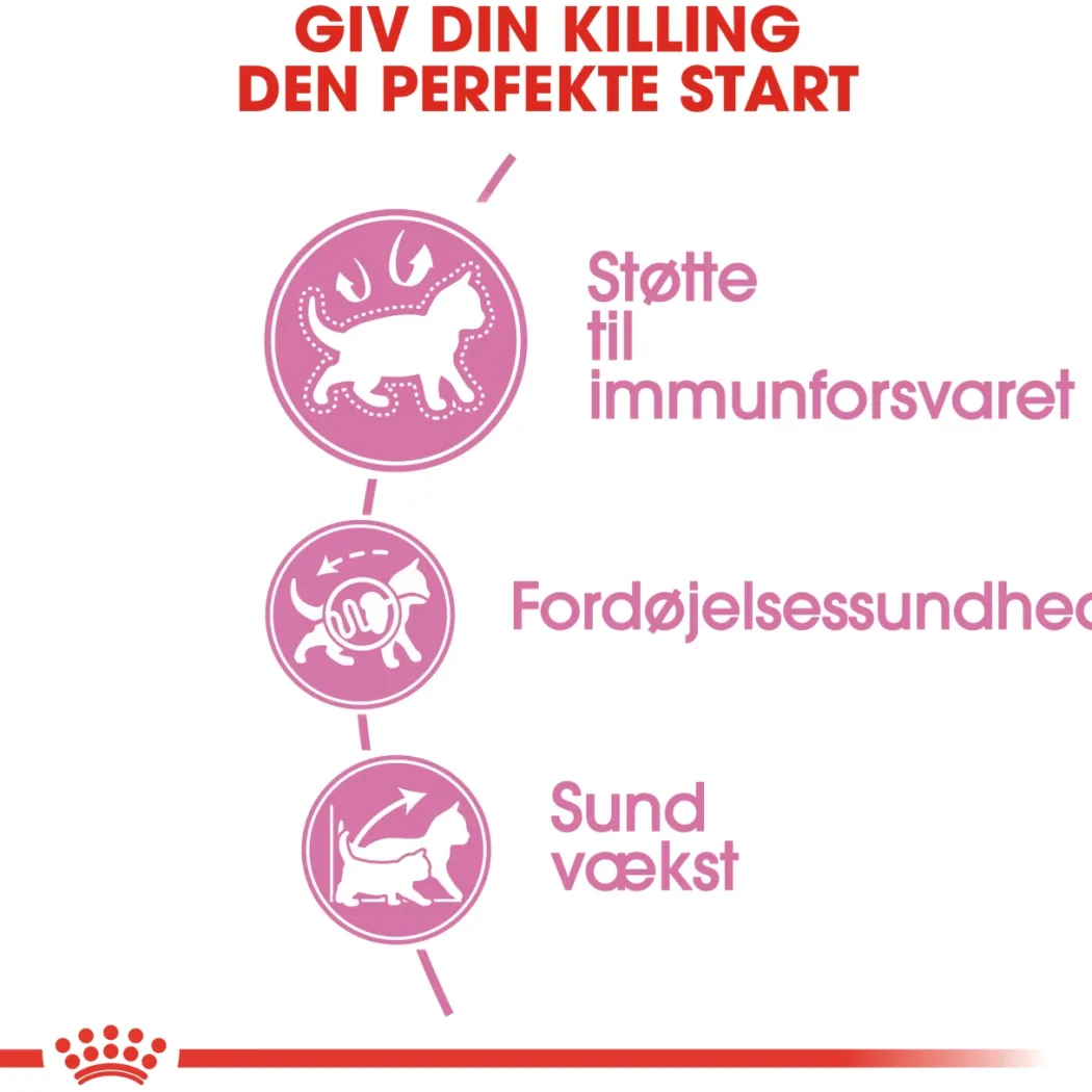 Royal Canin Second Age Kitten 400 g