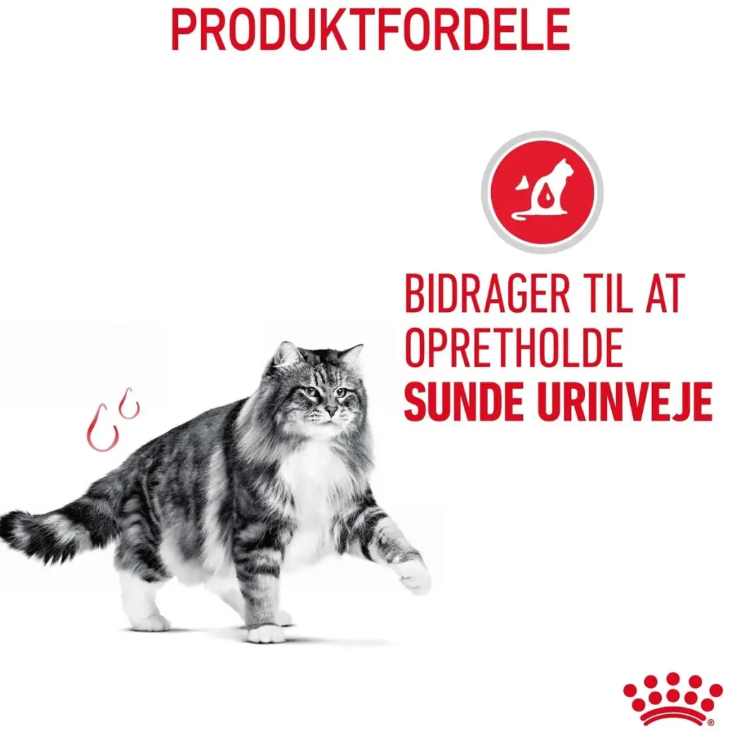 Royal Canin Urinary Care 4 kg