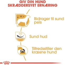 Royal Canin West Highland White Terrier Adult 3 kg - tørfoder til Westie