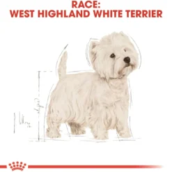 Royal Canin West Highland White Terrier Adult 3 kg - tørfoder til Westie