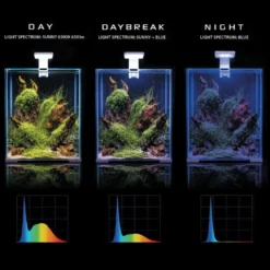 Shrimpset Day and Night 20 L akvarium 25x25x30 cm Sort