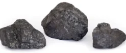 Stenkul 9-15 cm pr kg