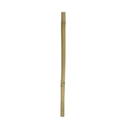 1 stk Gul bambus 100 cm Ø 2 - 3 cm.
