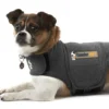 Thundershirt XS