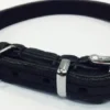 Timely halsbånd olieret læder sort 12 mm 25 cm - blød styrke til små hunde