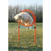 Trixie Agility Ring - sjov træning til hunde