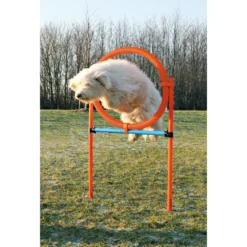 Trixie Agility Ring - sjov træning til hunde