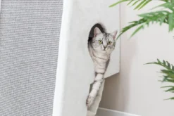 Trixie Kradsestation til vægmontering 110 cm