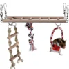 Trixie Legestige til hamster 25 x 9 cm