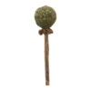 Trixie Matatabi Lolly