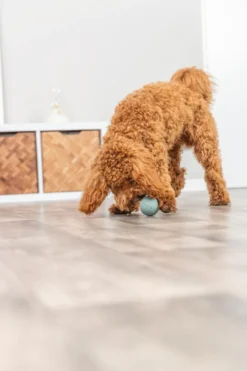 Trixie snack bold ø 6 cm - aktiveringslegetøj til hunde