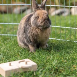 Trixie snack box i natur