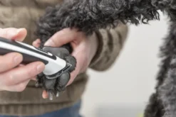 Trixie Trådløs Potetrimmer SLIM TR500