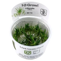 Tropica Littorella uniflora 1-2-GROW x 3