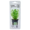 Tropica PCS Pot Limnophila sessiliflora x 3