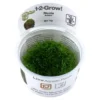 Tropica Riccia fluitans 1-2-GROW