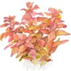 Tropica Rotala macrandra Japan 1-2-GROW x 3